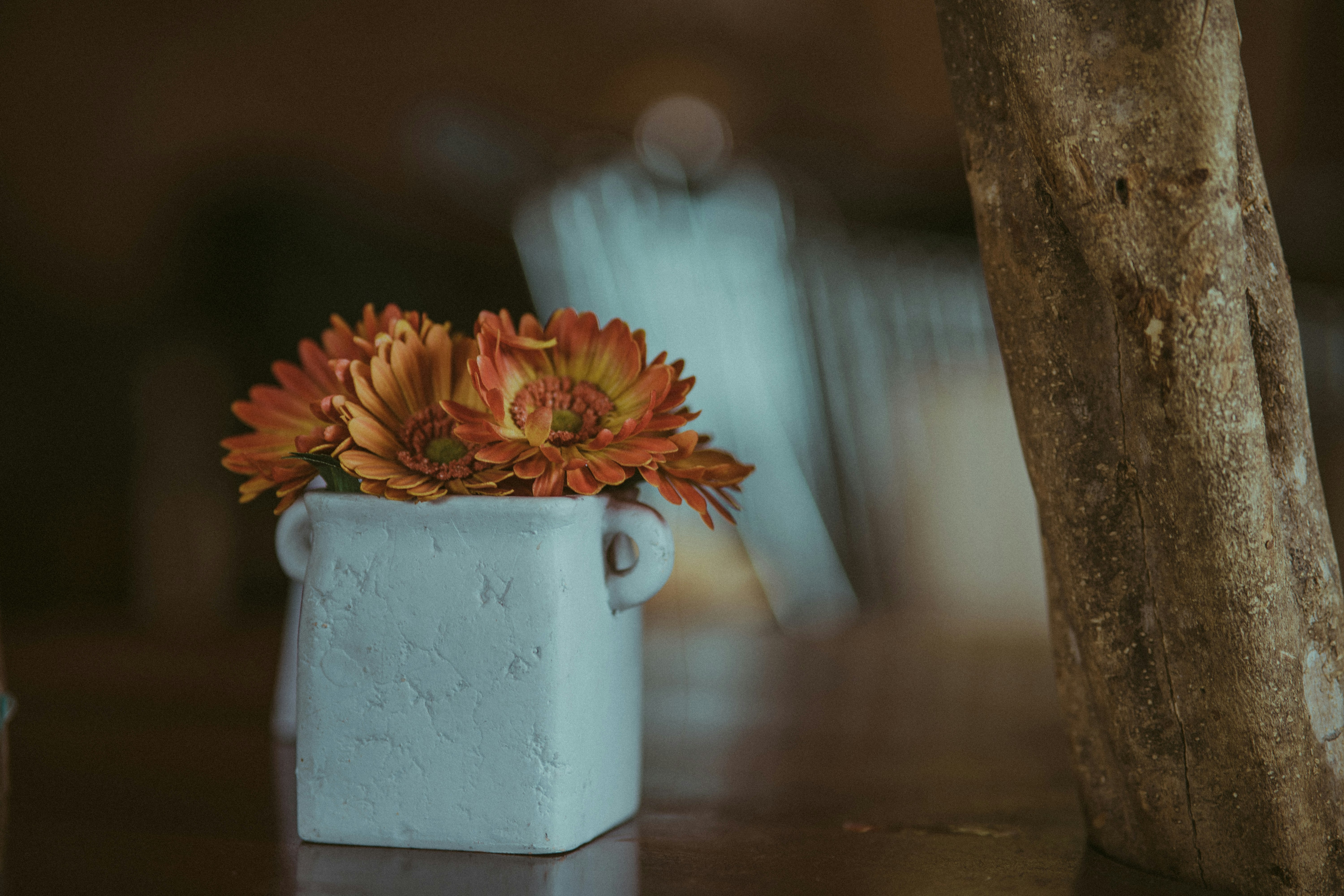 orange and white flower in white ceramic vase